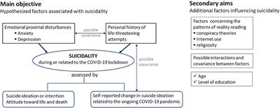 Suicidality Related to the COVID-19 Lockdown in Romania: Structural Equation Modeling